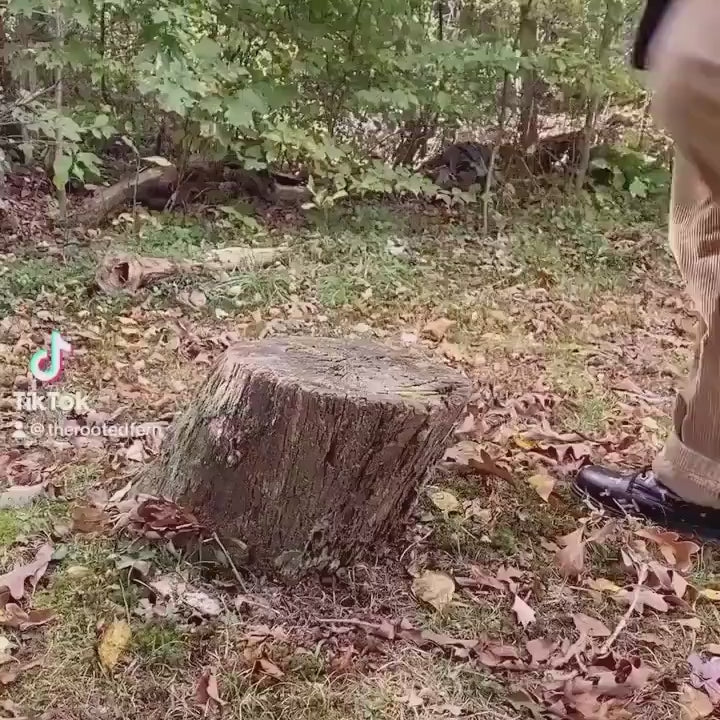 Magic Mushrooms Combat Boots Mens Leather Boots Witch Shoes Gift for Mushroom Lover Women's Platform Cottagecore Dark Academia