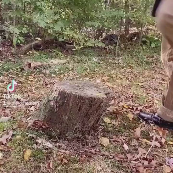 Magic Mushrooms Combat Boots Mens Leather Boots Witch Shoes Gift for Mushroom Lover Women's Platform Cottagecore Dark Academia